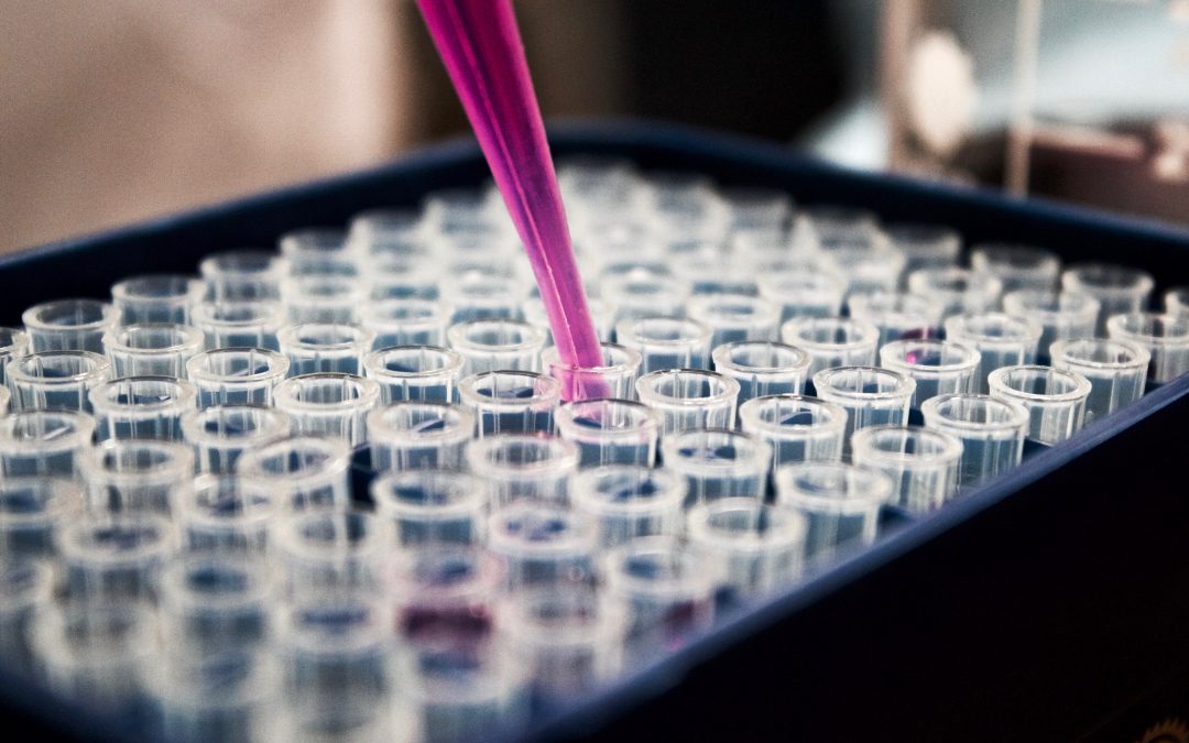 Nuevos hallazgos revelan cómo regular la microbiota para modificar el curso del cáncer de pulmón