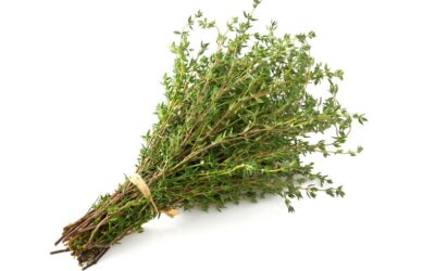 COFENAT: el poder de las plantas para favorecer la salud este otoño
