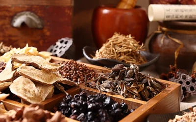 La Medicina Tradicional China, tu aliado digestivo para estas Navidades, según Cofenat