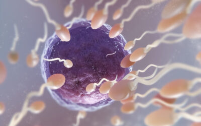 ¿No hay espermatozoides en tu semen? La azoospermia no siempre impide la paternidad