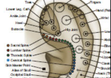 La Auriculoterapia conquista Europa: la ciencia respalda sus beneficios en dolor, ansiedad y bienestar